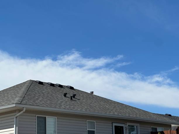 Roof Insulation Installation in Timpson, TX